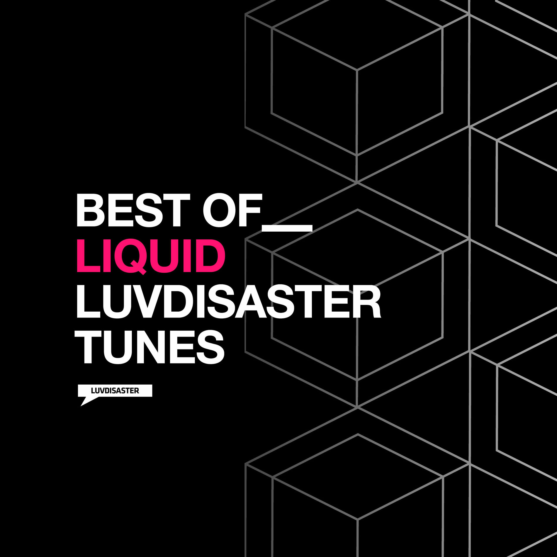 Album cover of Best of Liquid LuvDisaster Tunes