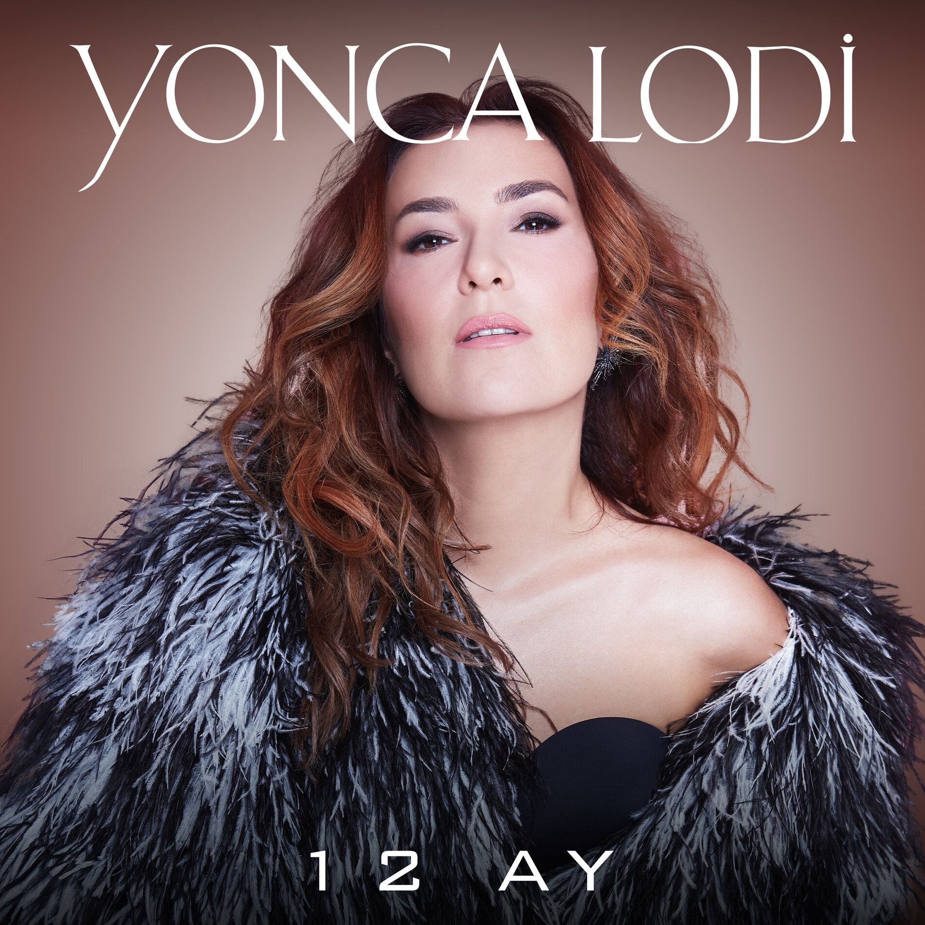 Album cover of 12 Ay (Akustik)