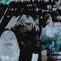 Cover of DRU