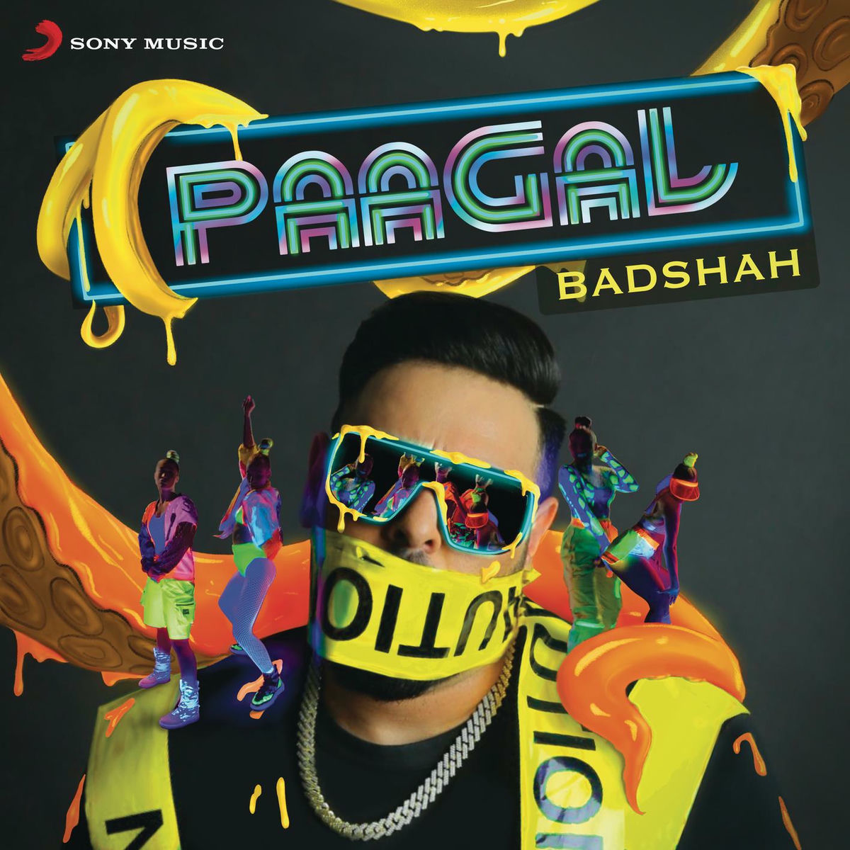 Album cover of Paagal
