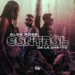 Cover of Control