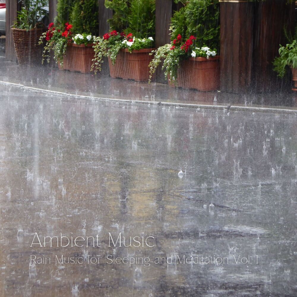 Picture of Ambient Music: Rain Music for Sleeping and Meditation Vol. 1