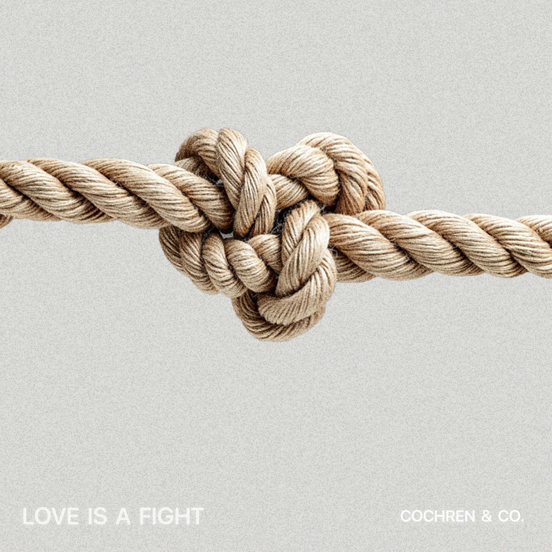 Album cover of Love Is A Fight