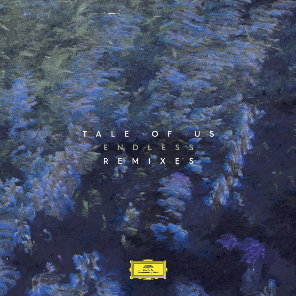 Picture of Endless (Remixes)