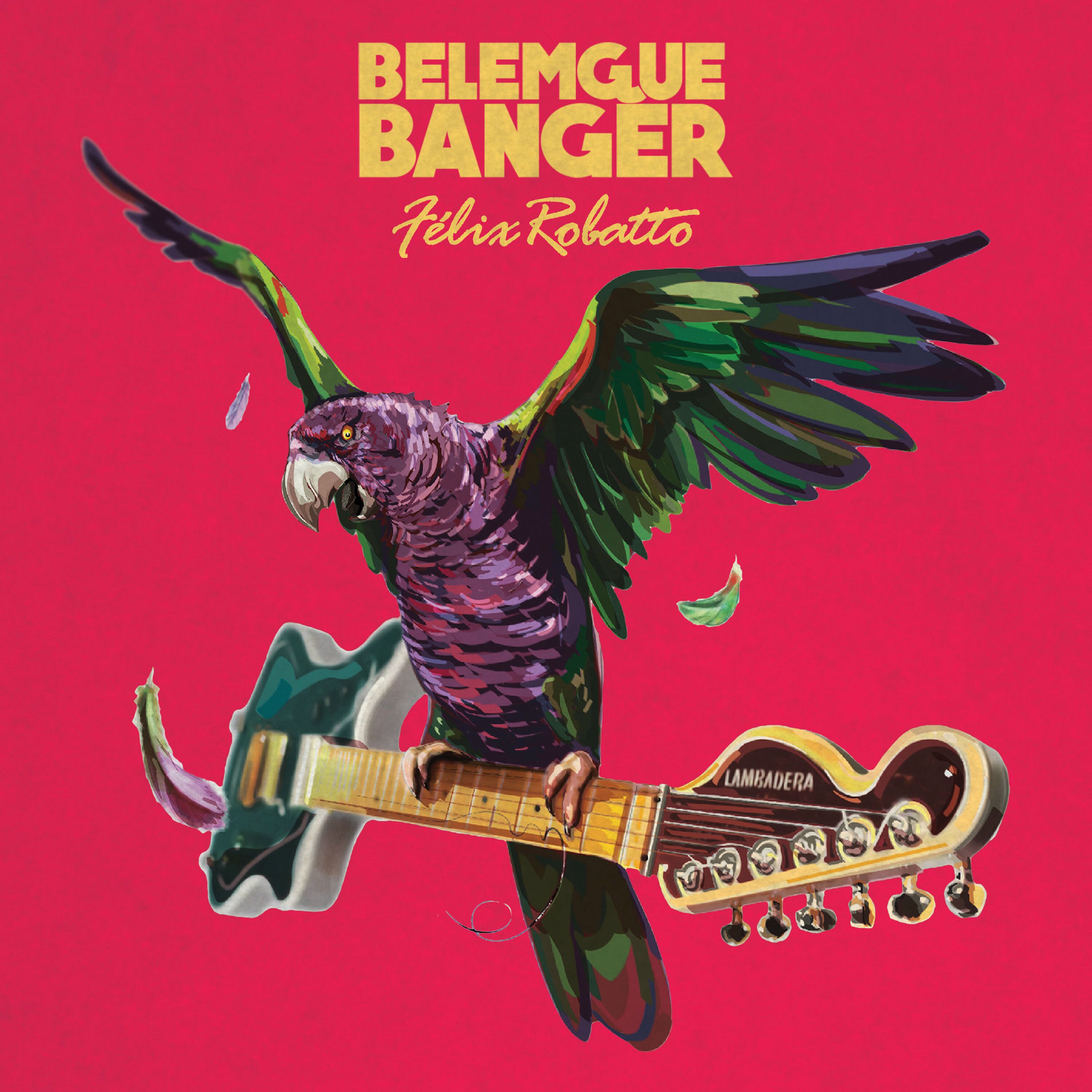 Album cover of Interior do Pará