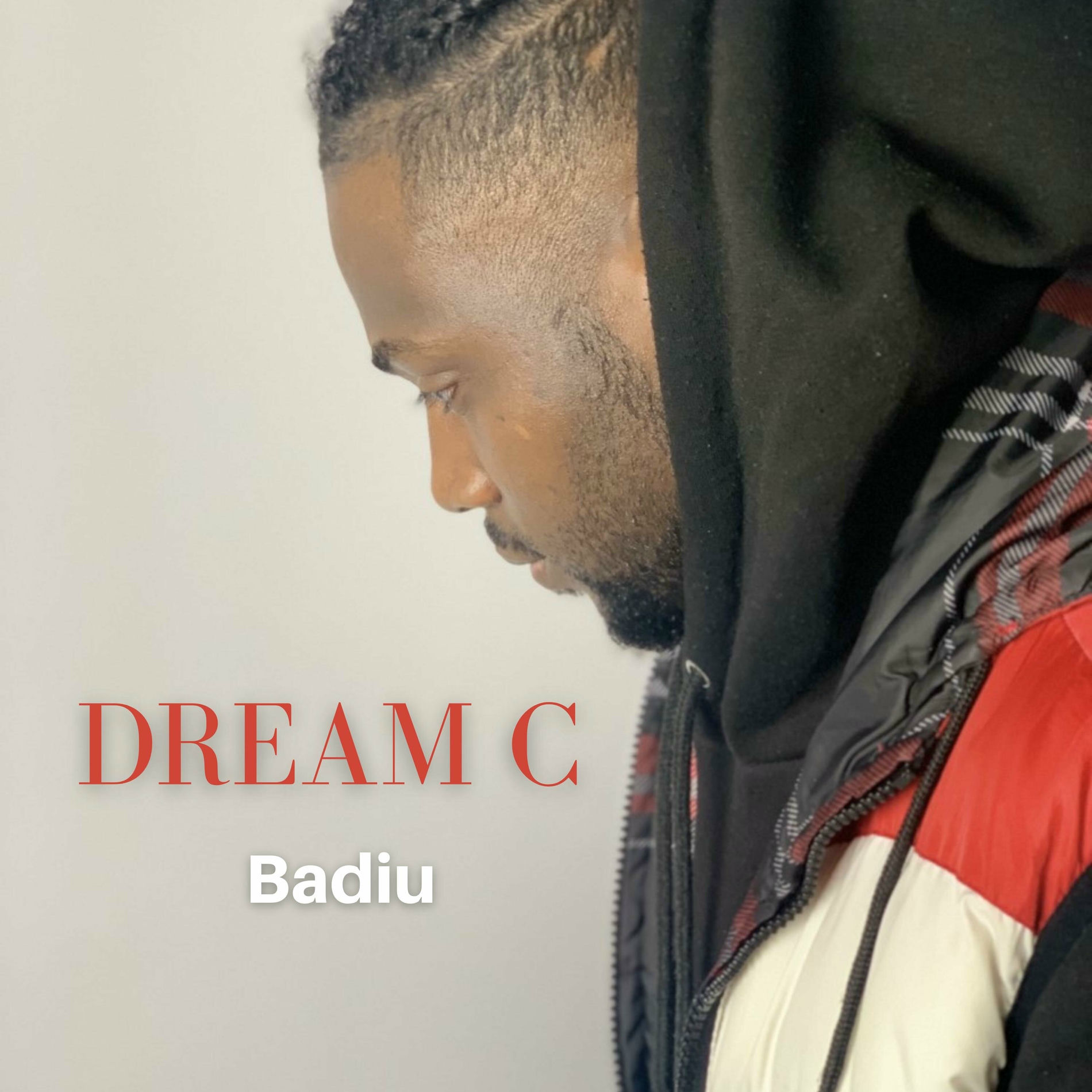 Album cover of Badiu