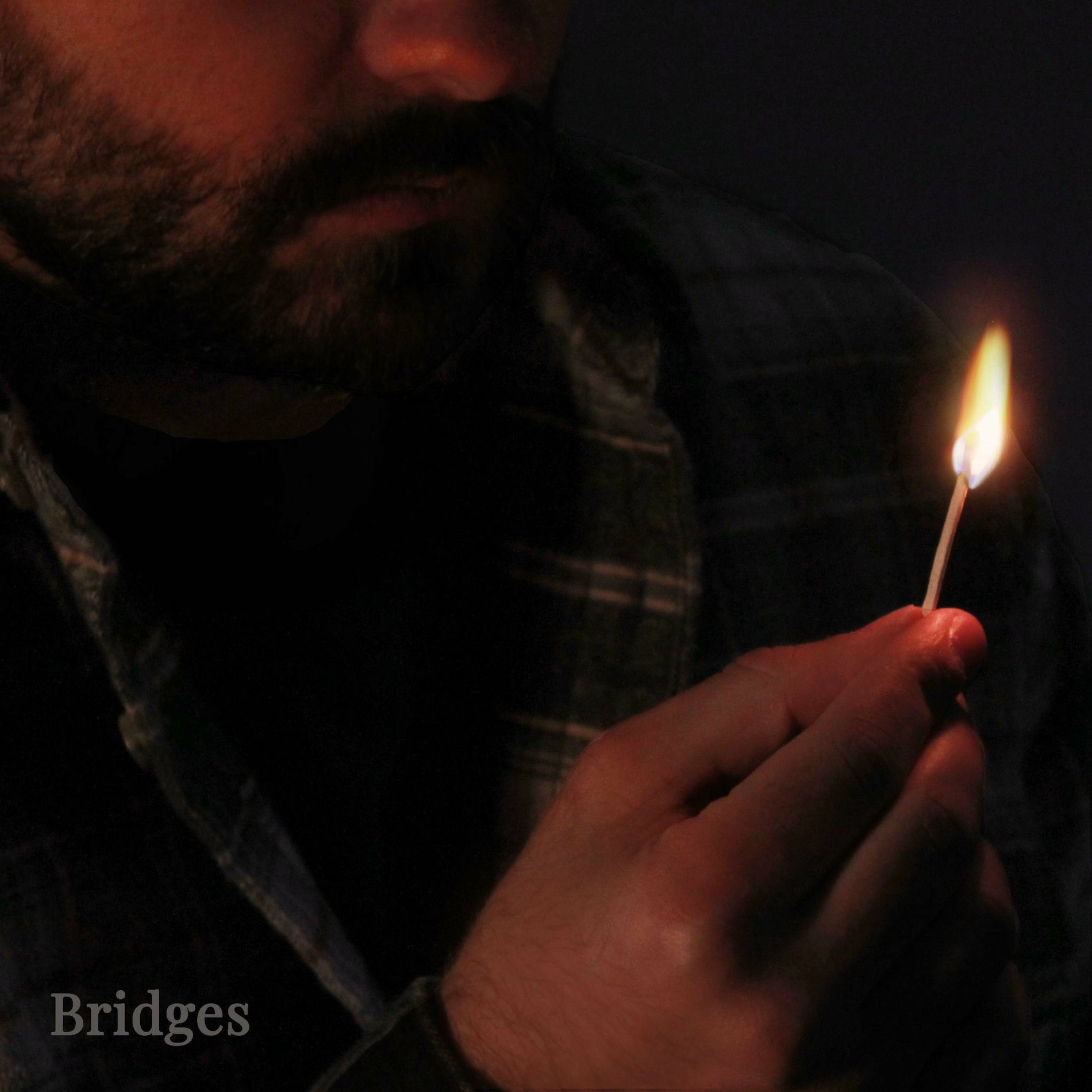 Album cover of Bridges