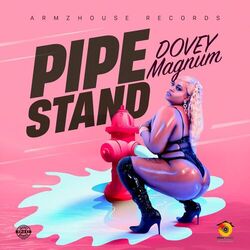 Cover of Pipe Stand
