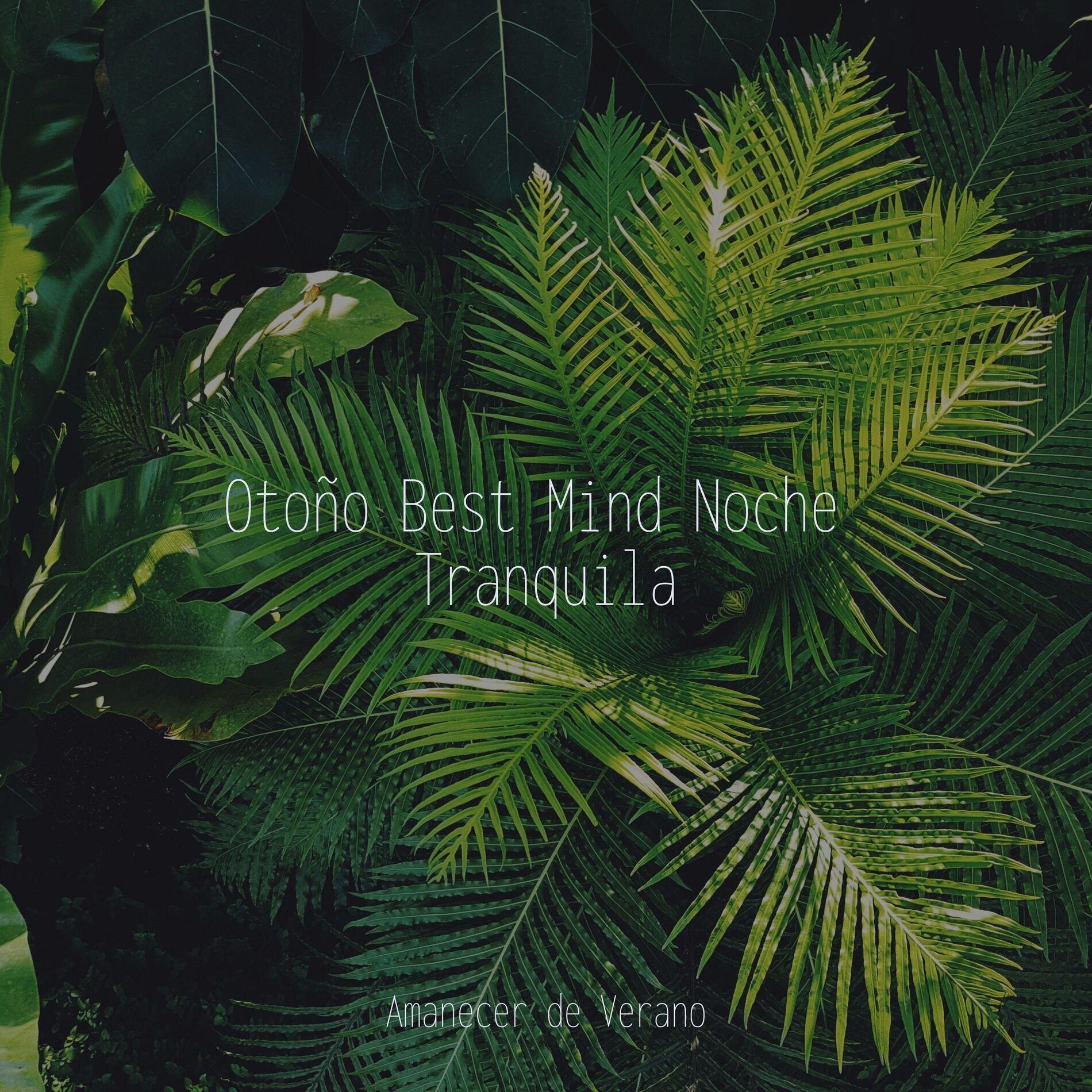 Album cover of Otoño Best Mind Noche Tranquila