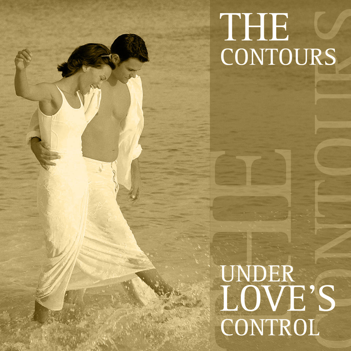 Album cover of Under Love's Control