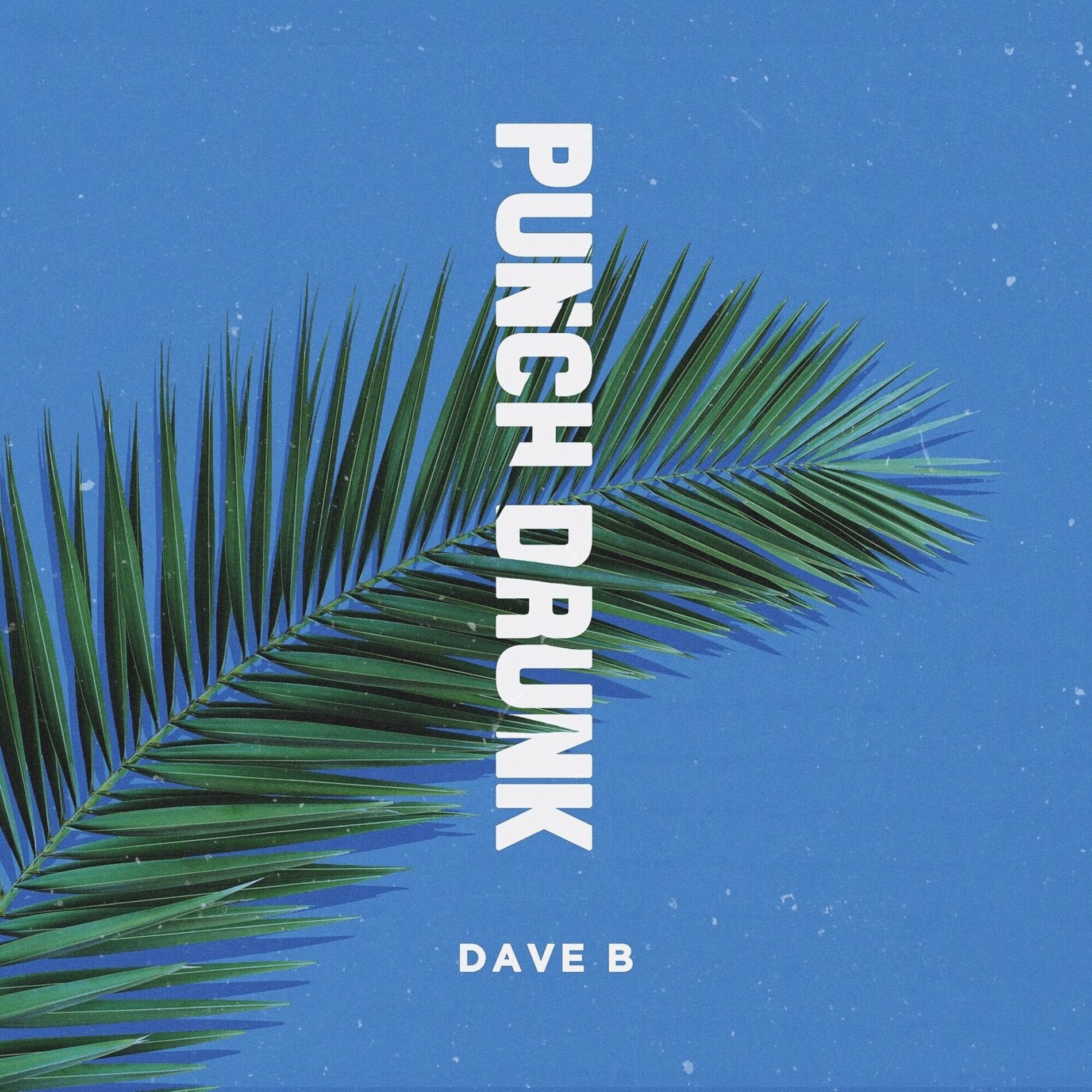 Album cover of Punch Drunk