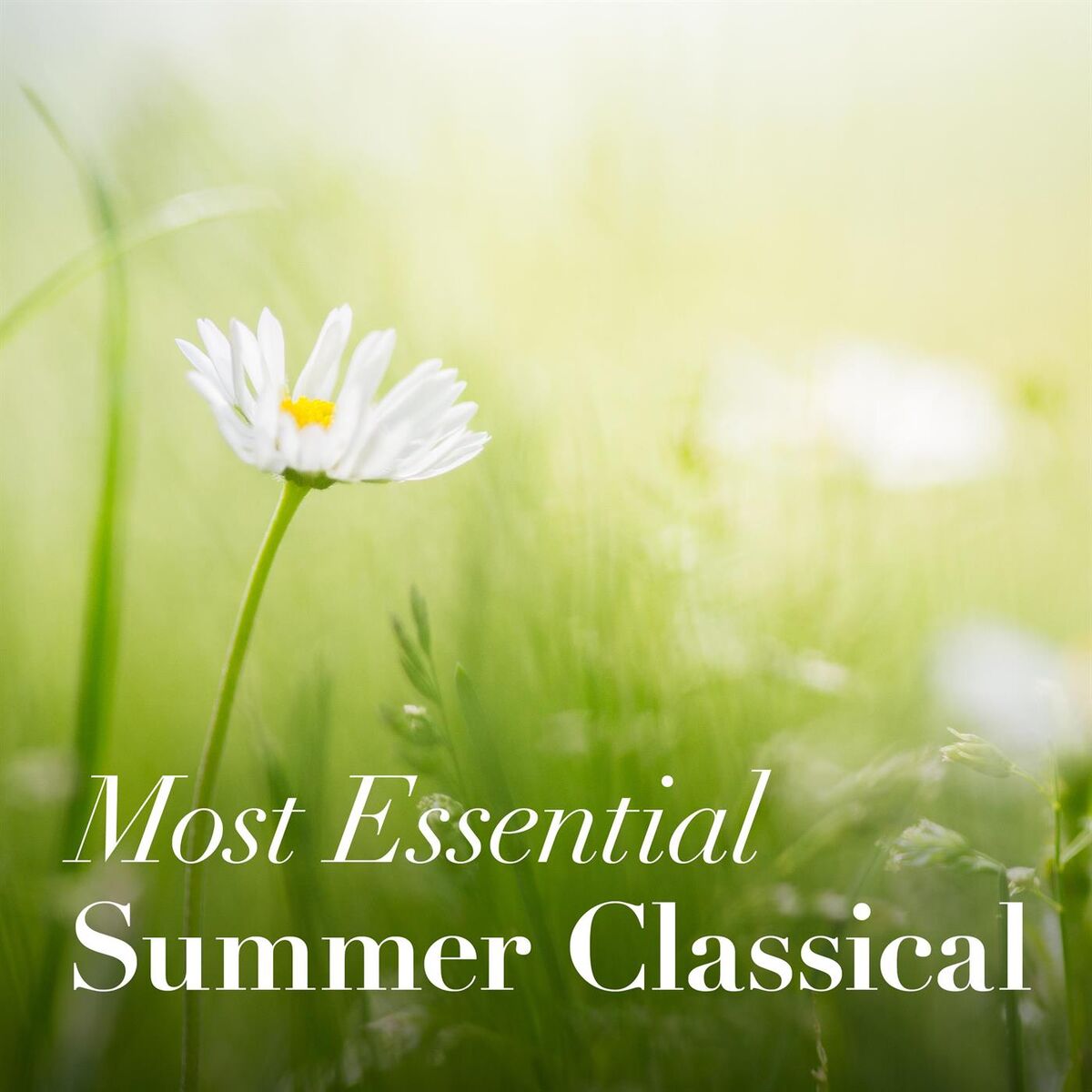 Album cover of Most Essential Summer Classical