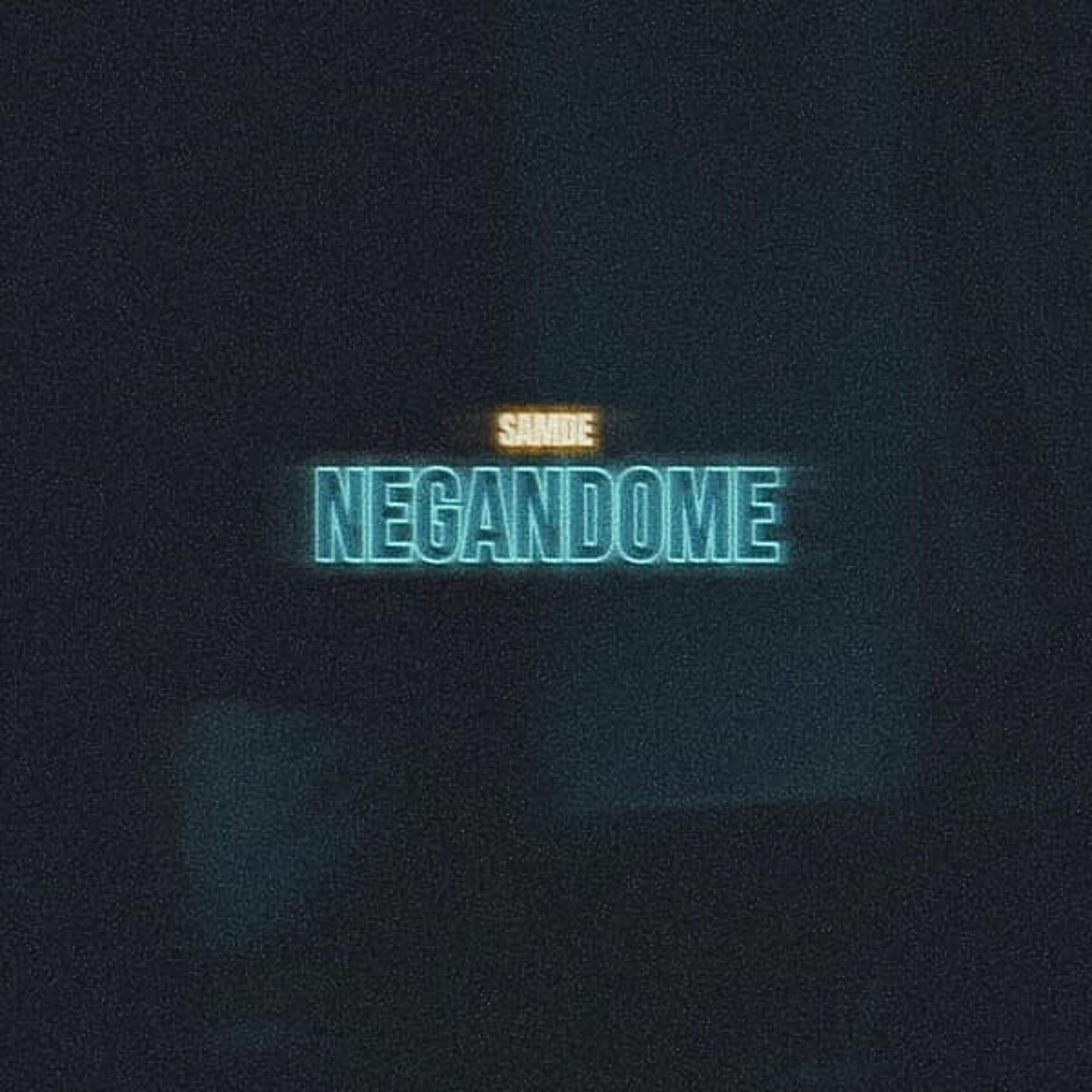 Album cover of Negándome