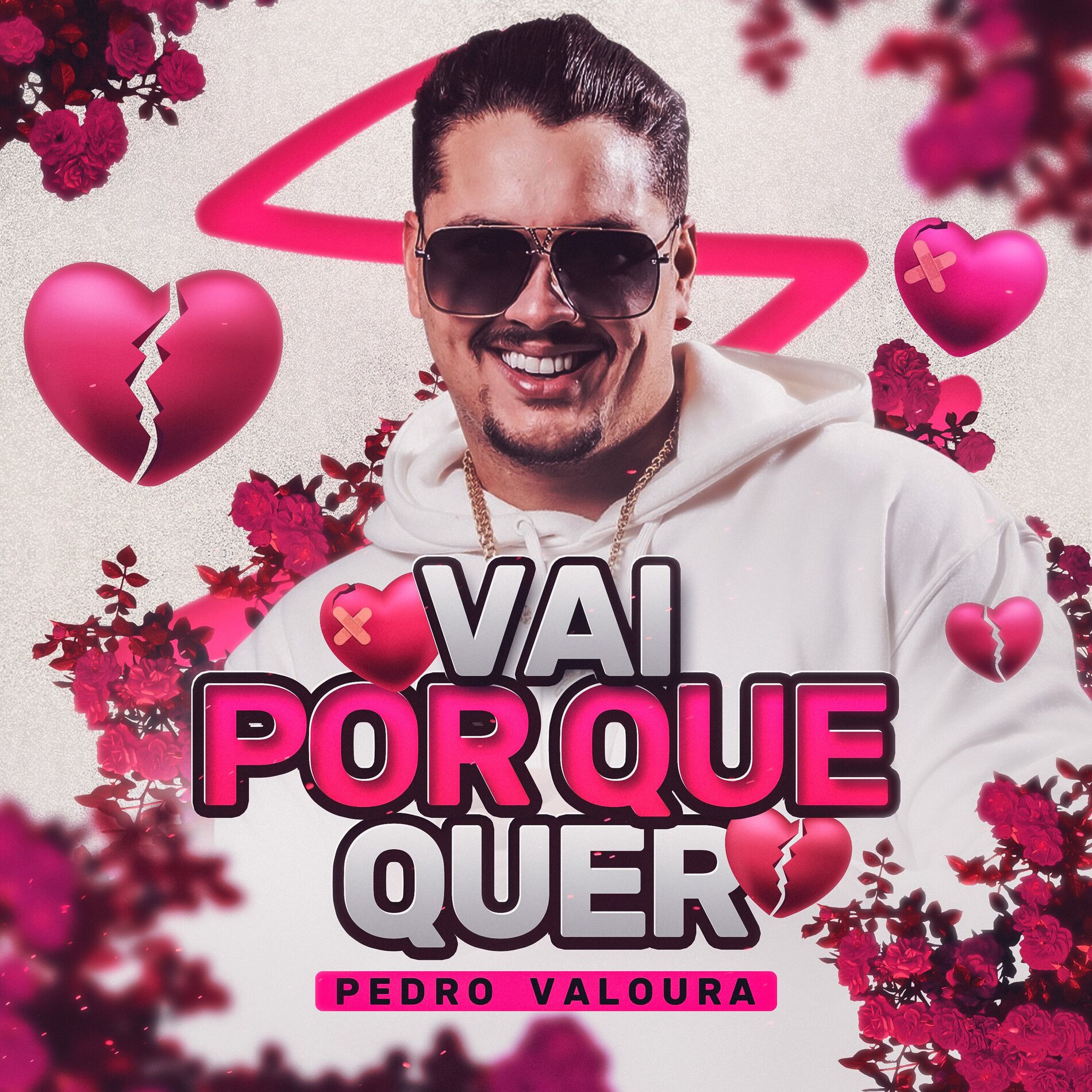 Album cover of Vai Porque Quer