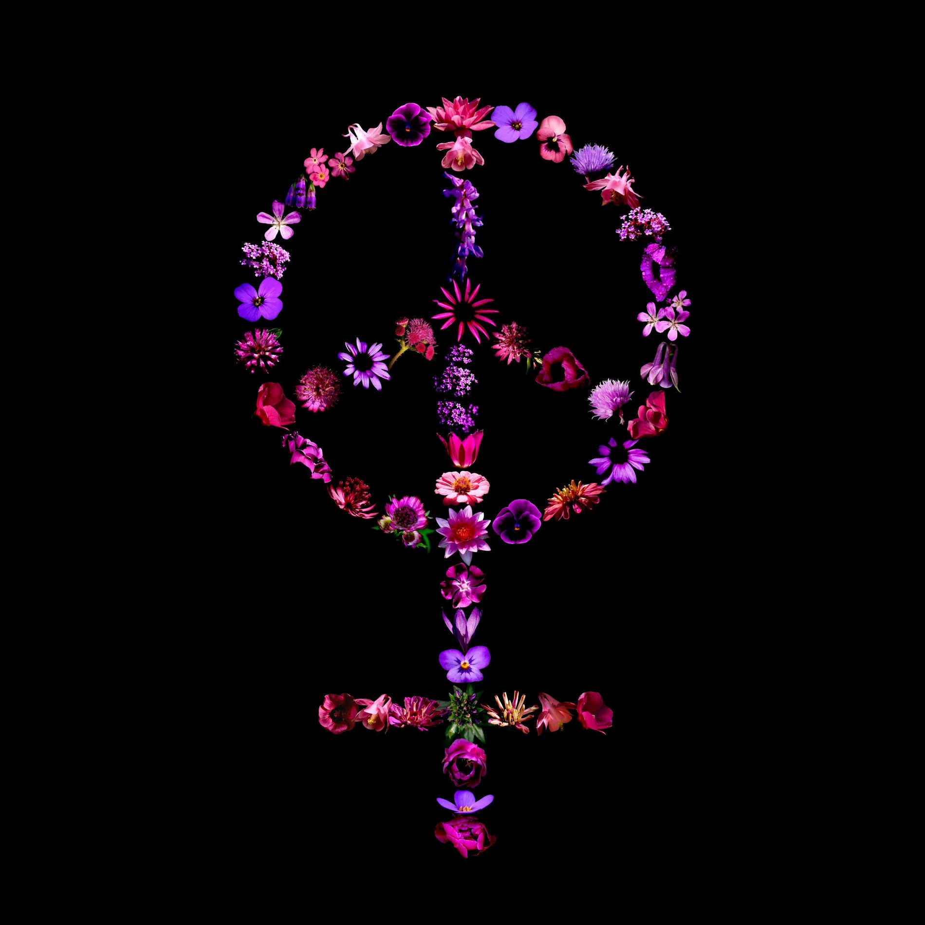 Album cover of I Look At You (Ave Maria Tribute)