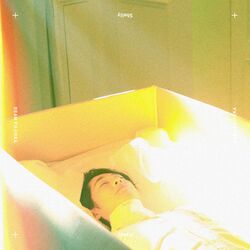 Cover of Shelly