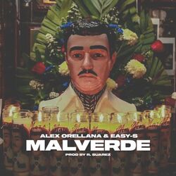 Cover of Malverde