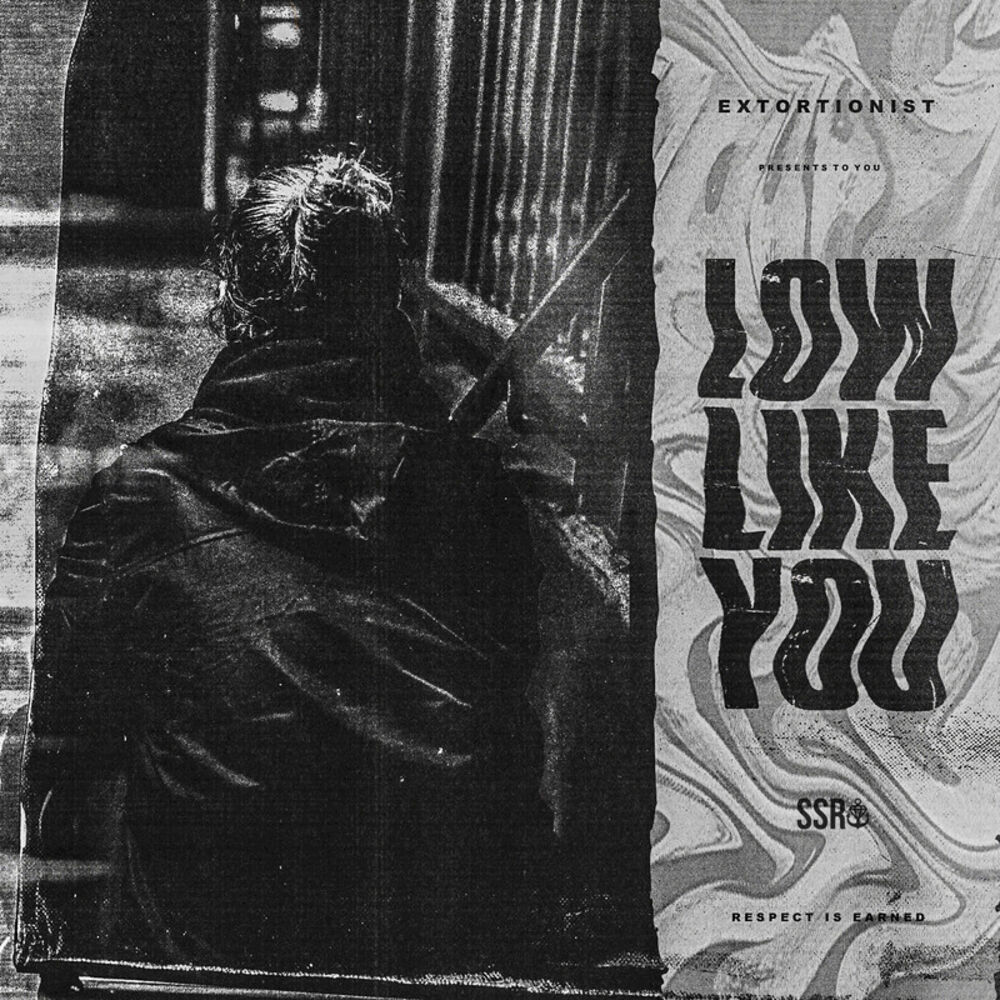 Picture of Low Like You