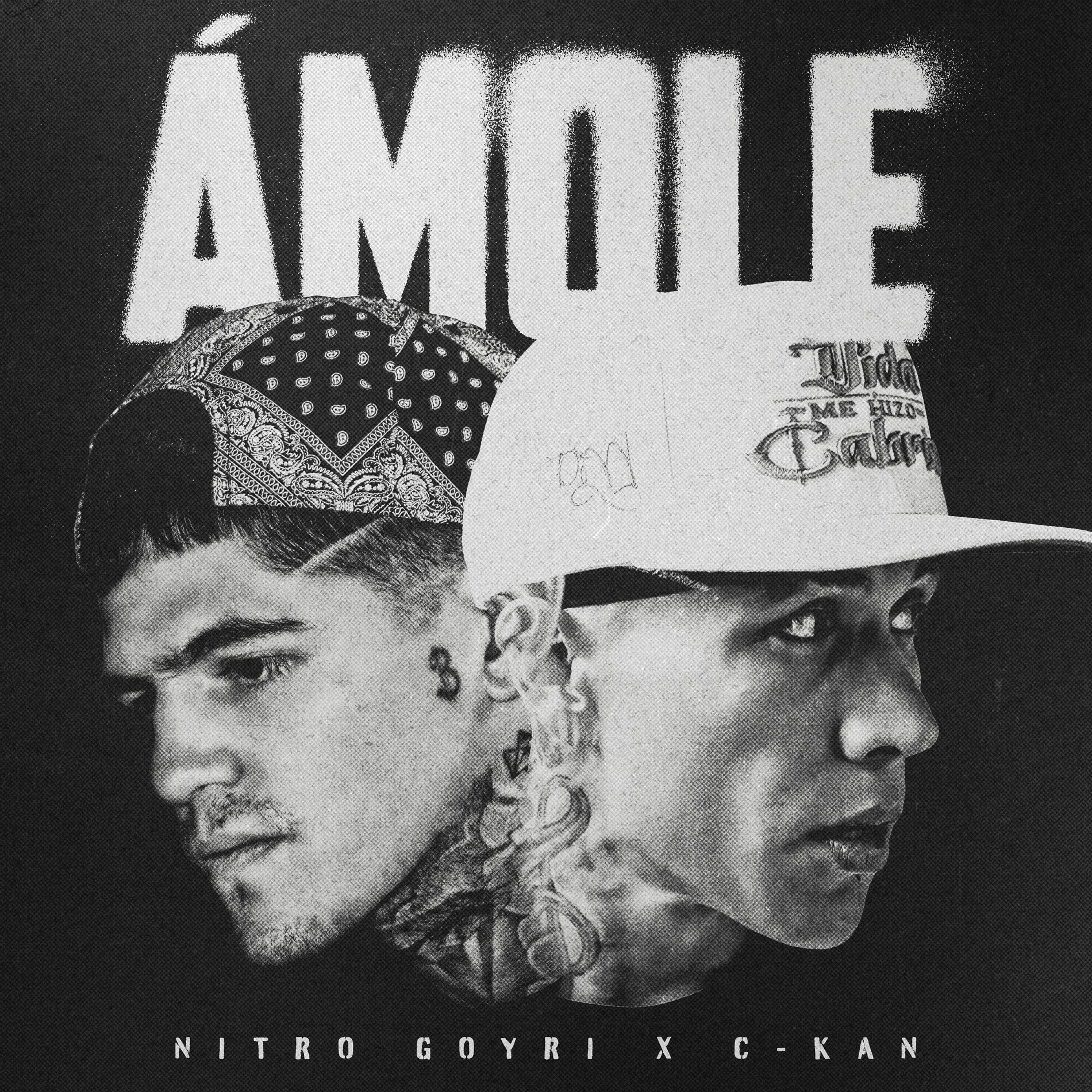 Album cover of Amole