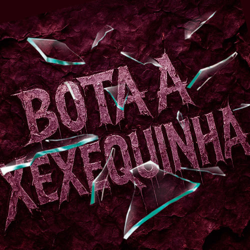 BOTA A XEXEQUINHA