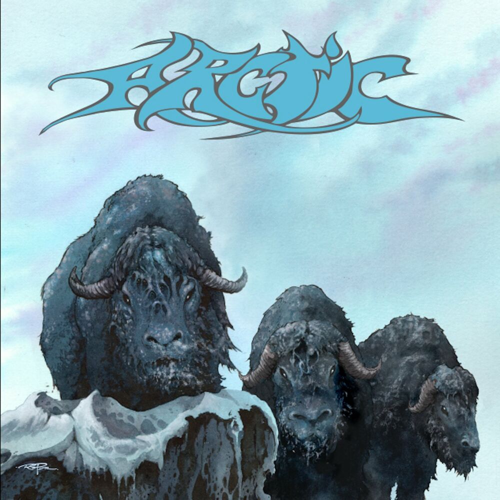Picture of Arctic