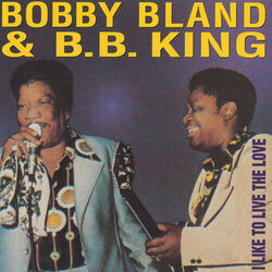Cover of I Like To Live The Love