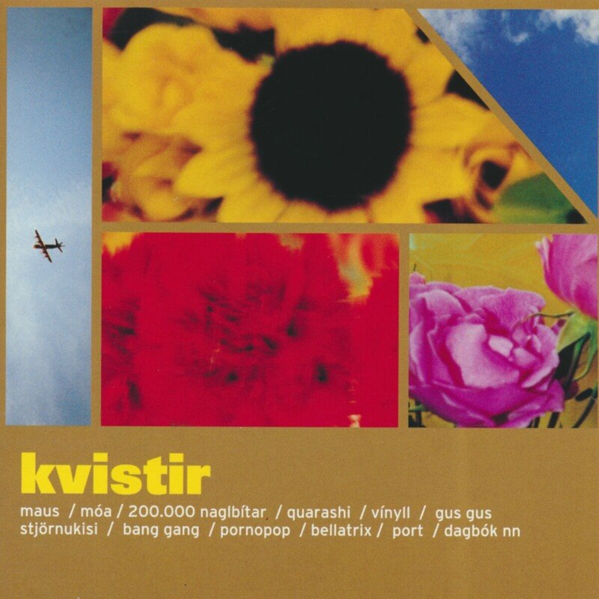 Album cover of Kvistir