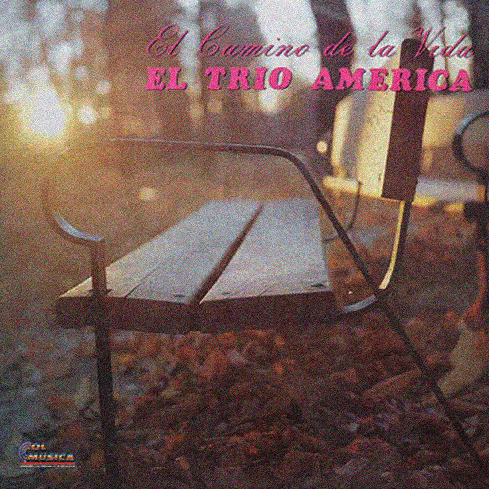 Picture of El Camino de la Vida
