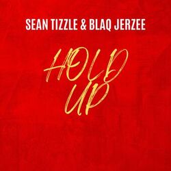 Cover of Hold Up