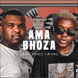 Cover of Ama Bhoza