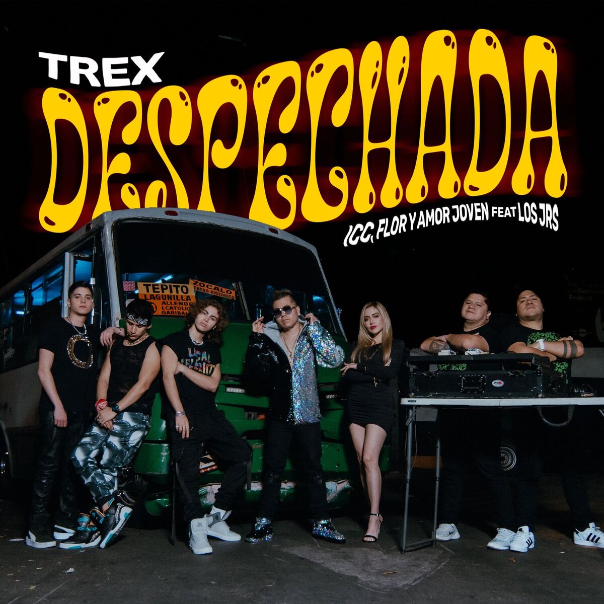 Album cover of Despechada