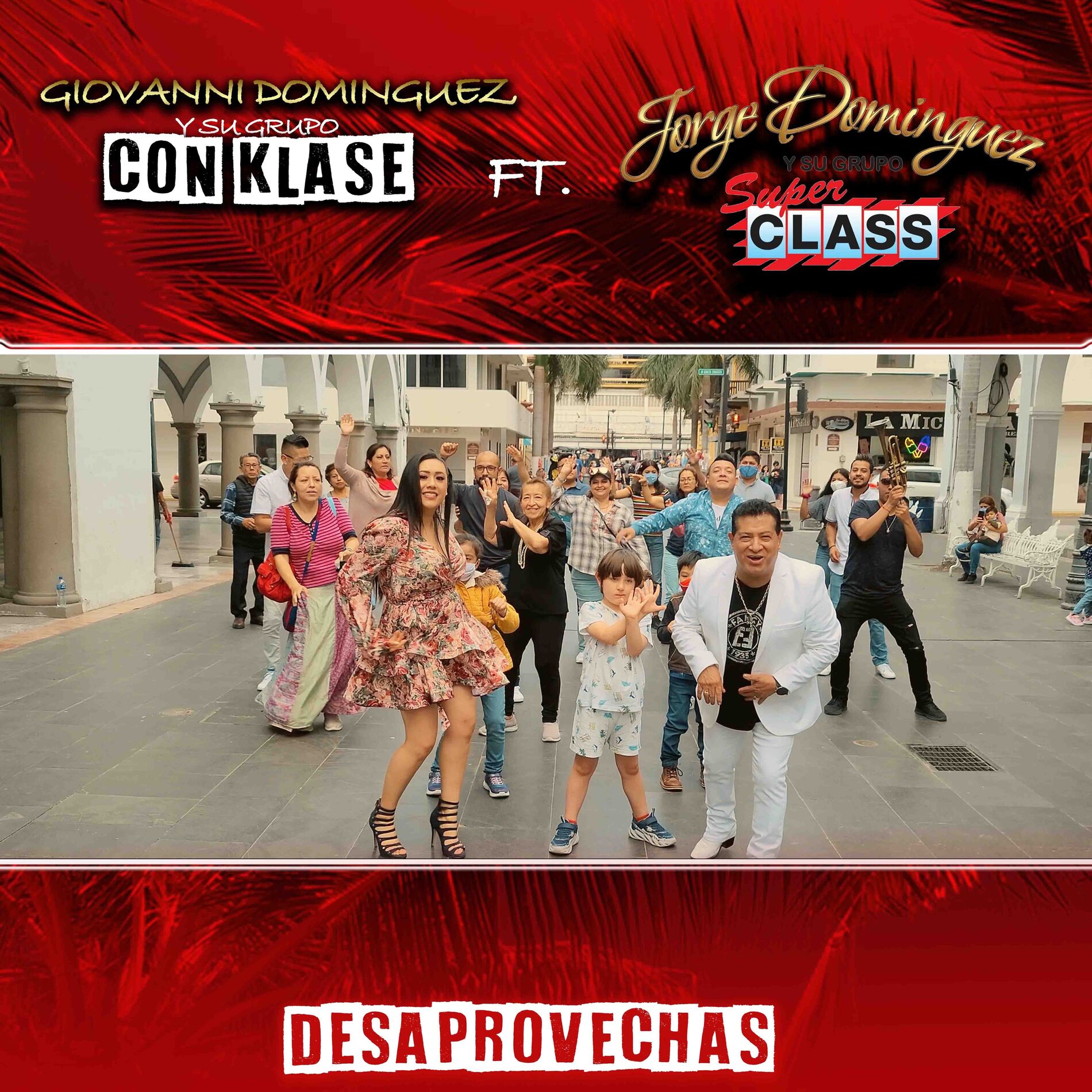 Album cover of Desaprovechas
