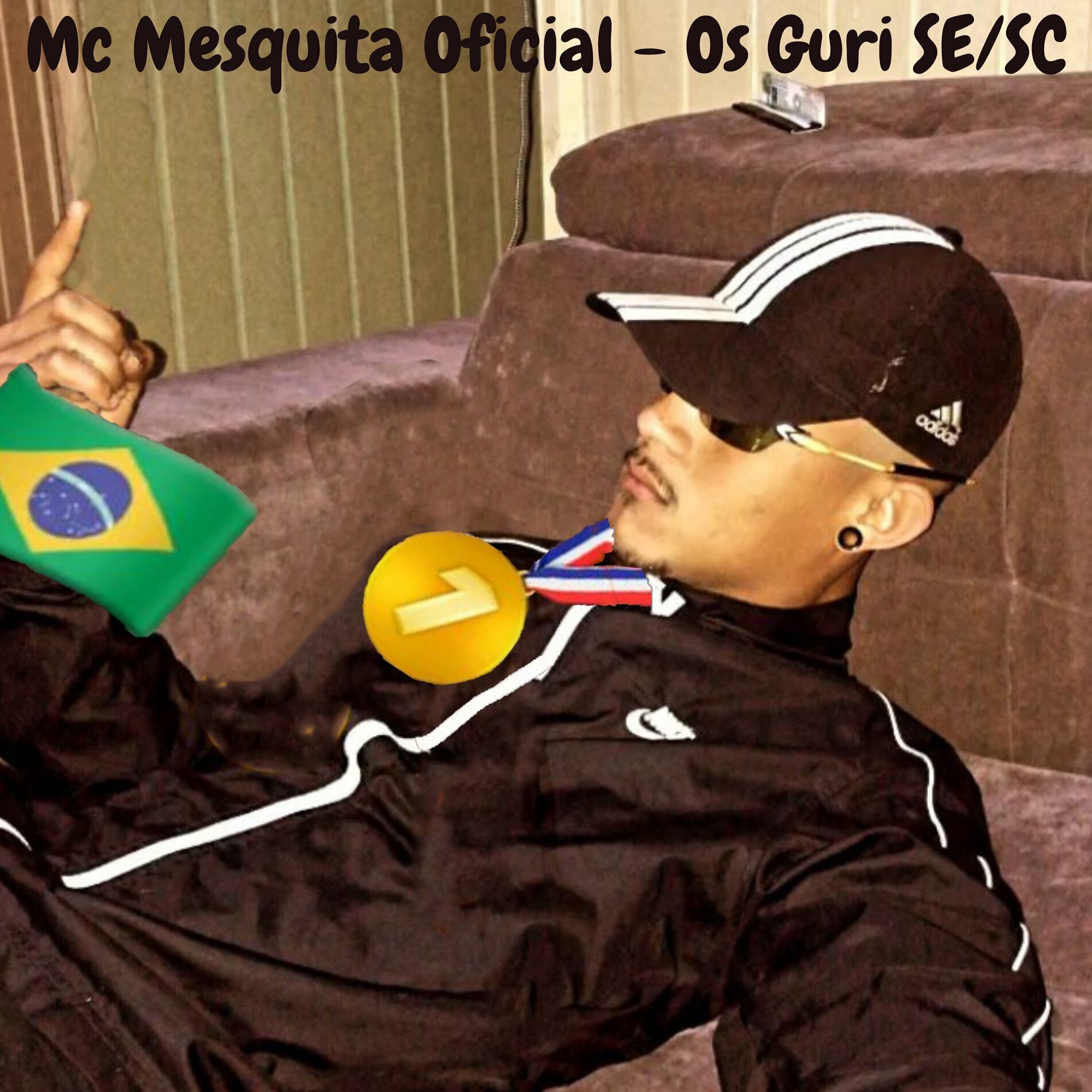Album cover of Os Guri SE/SC