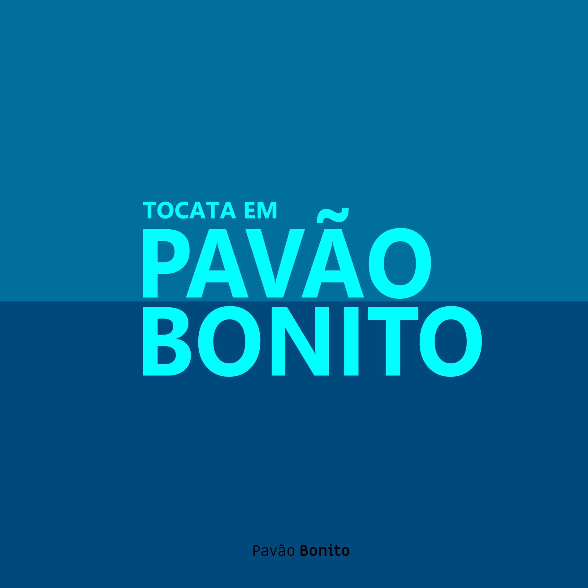 Album cover of Tocata no Pavão Bonito