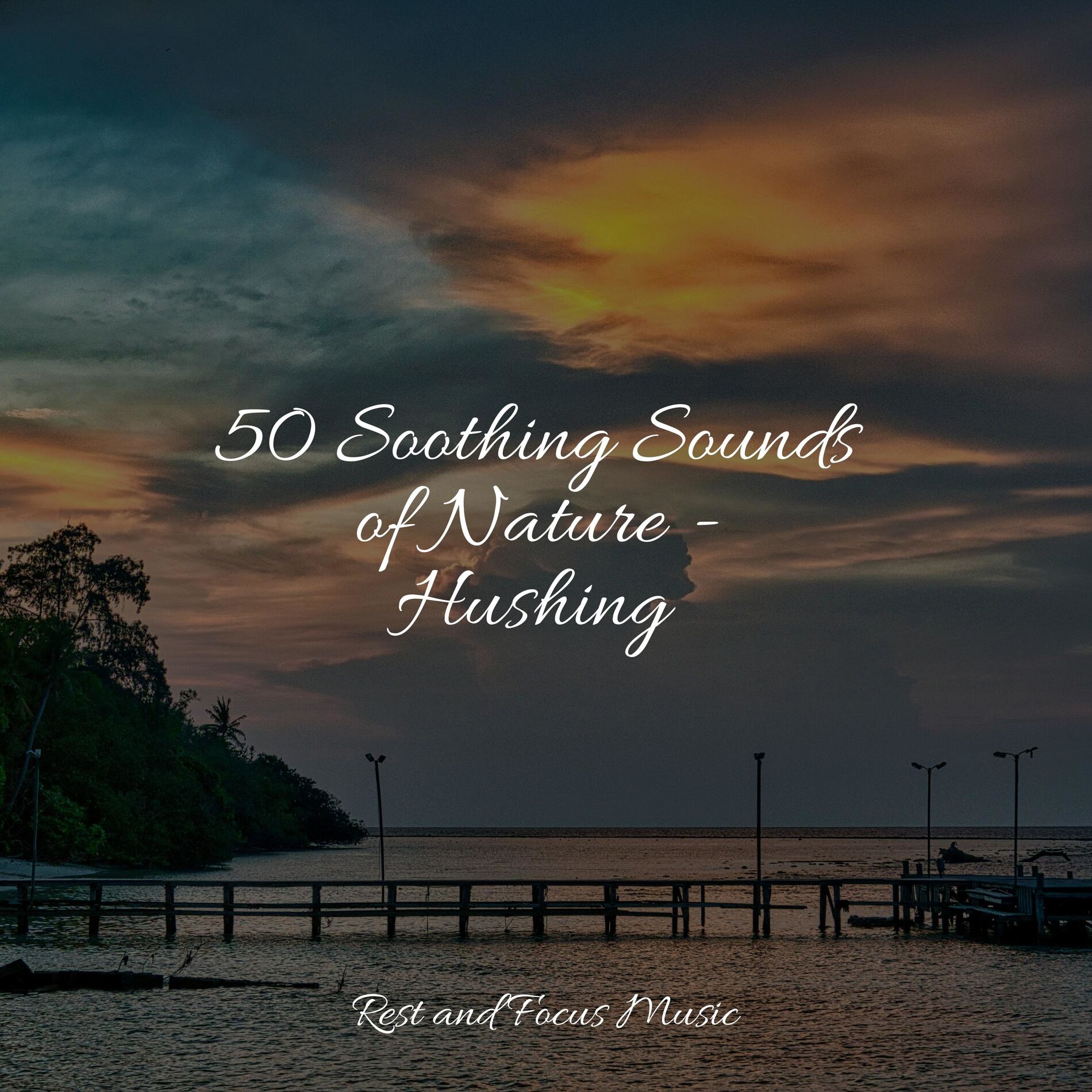Album cover of 50 Soothing Sounds of Nature - Hushing