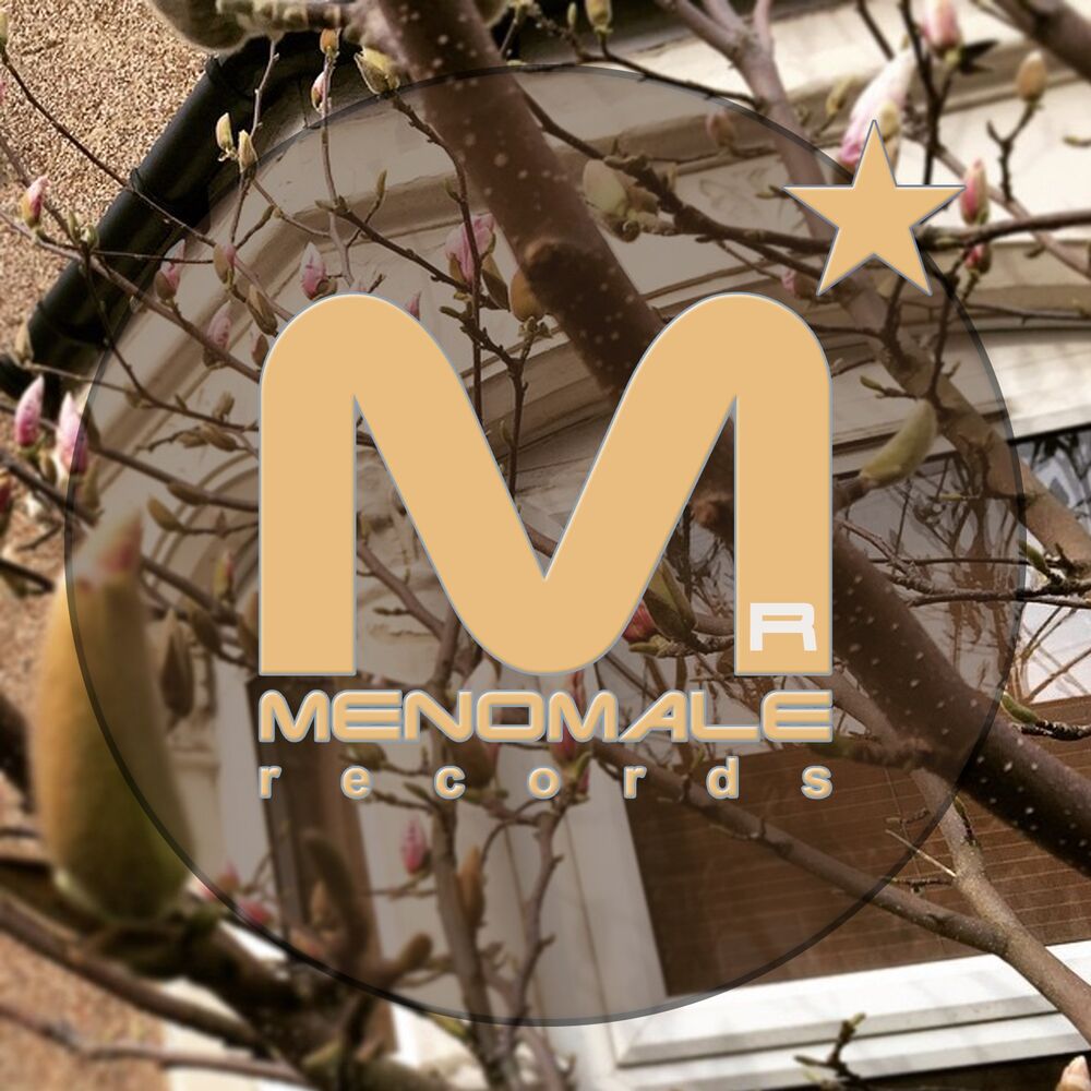 Picture of Menostar, Vol. 38