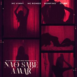 Cover of Não Sabe Amar