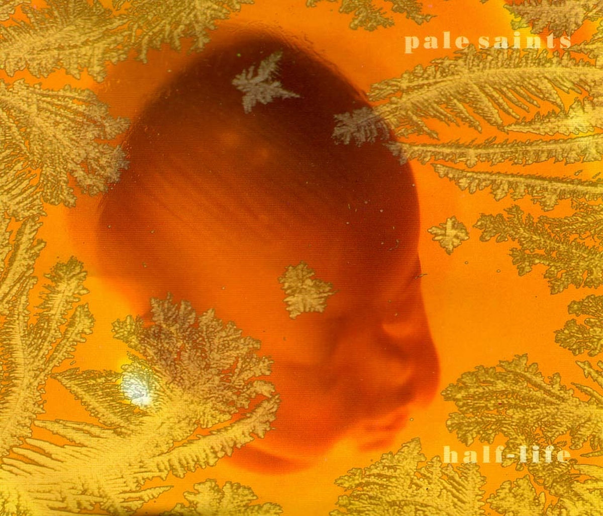 Album cover of Half-Life, Remembered