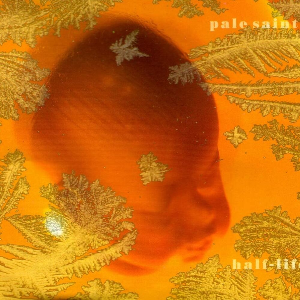 Picture of Half-Life