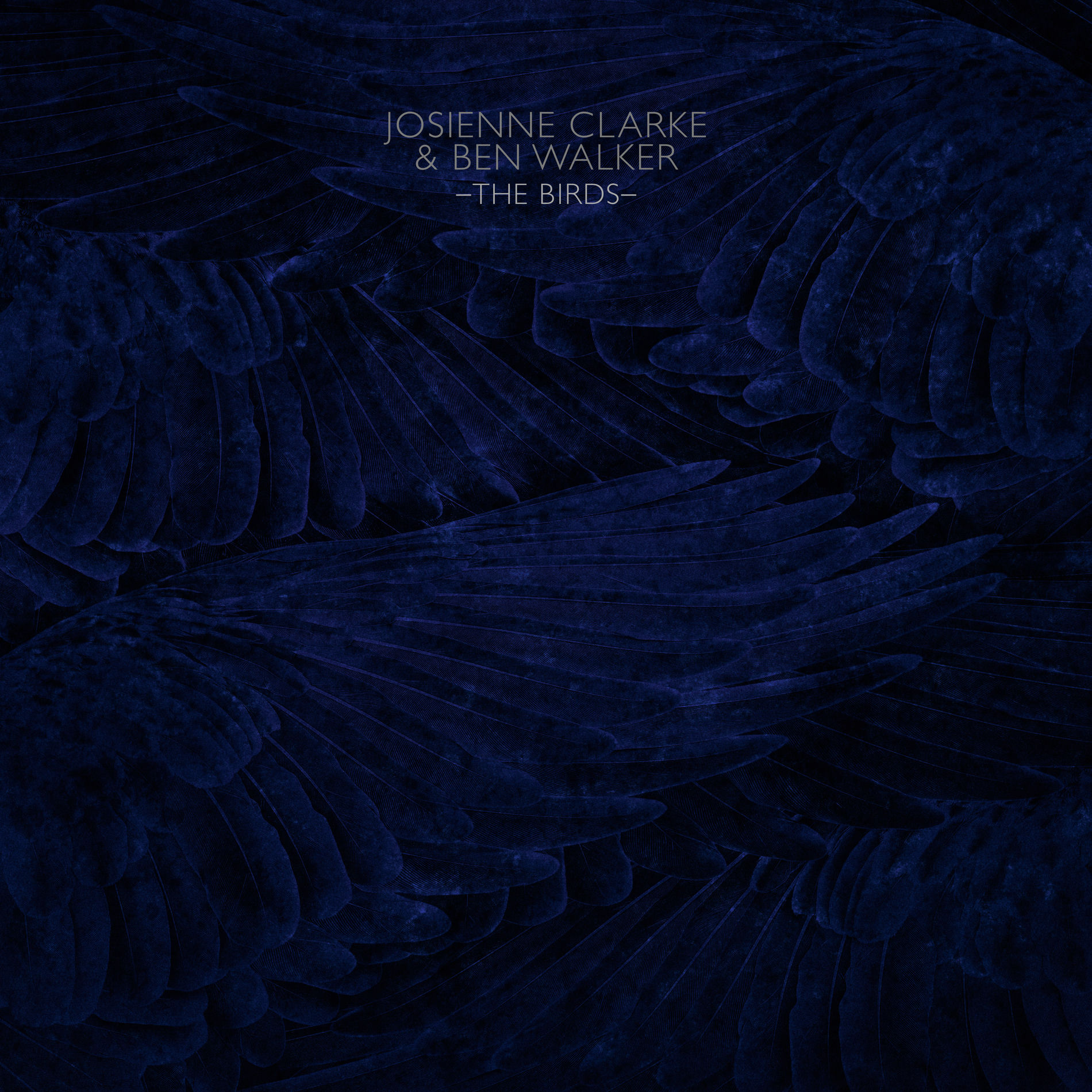 Album cover of Darkling Bird