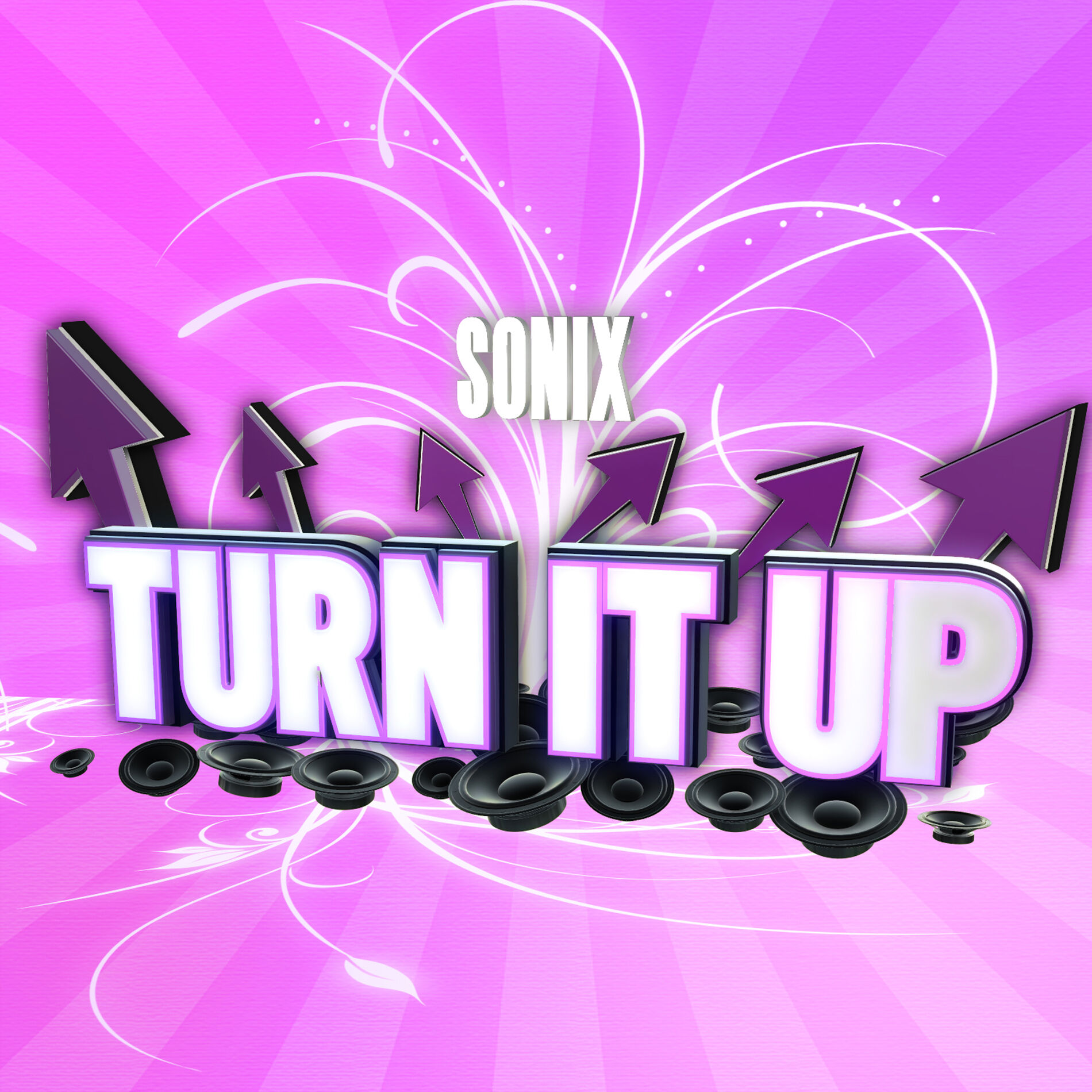 Album cover of Turn It Up