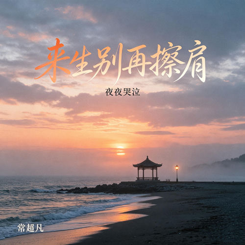 来生别再擦肩(夜夜哭泣)