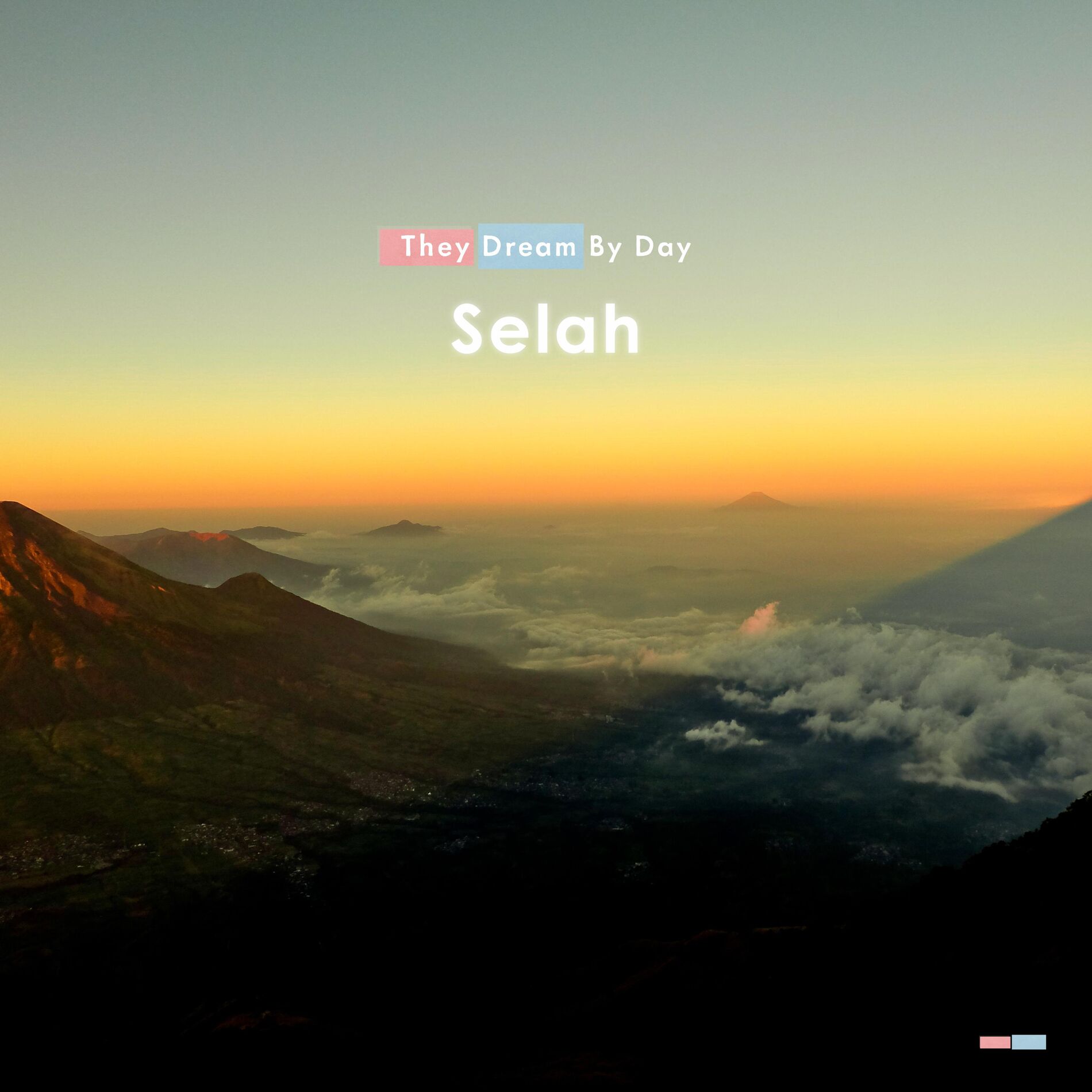Album cover of While My Body Here Decays