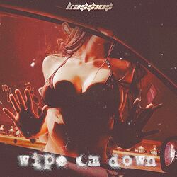 Cover of Wipe Em Down