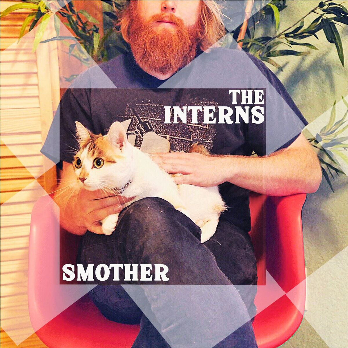 Album cover of Smother