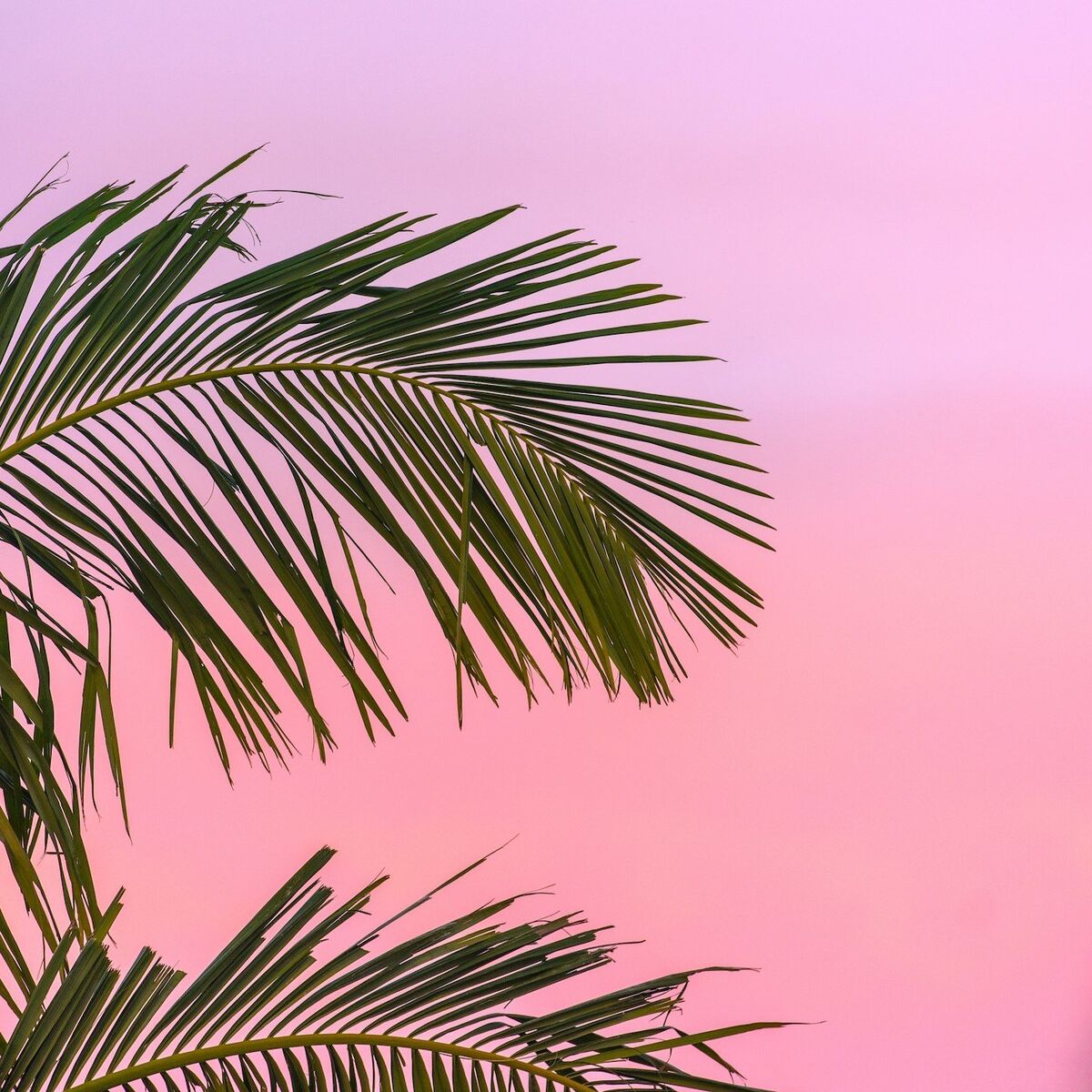 Album cover of Seasonal Love