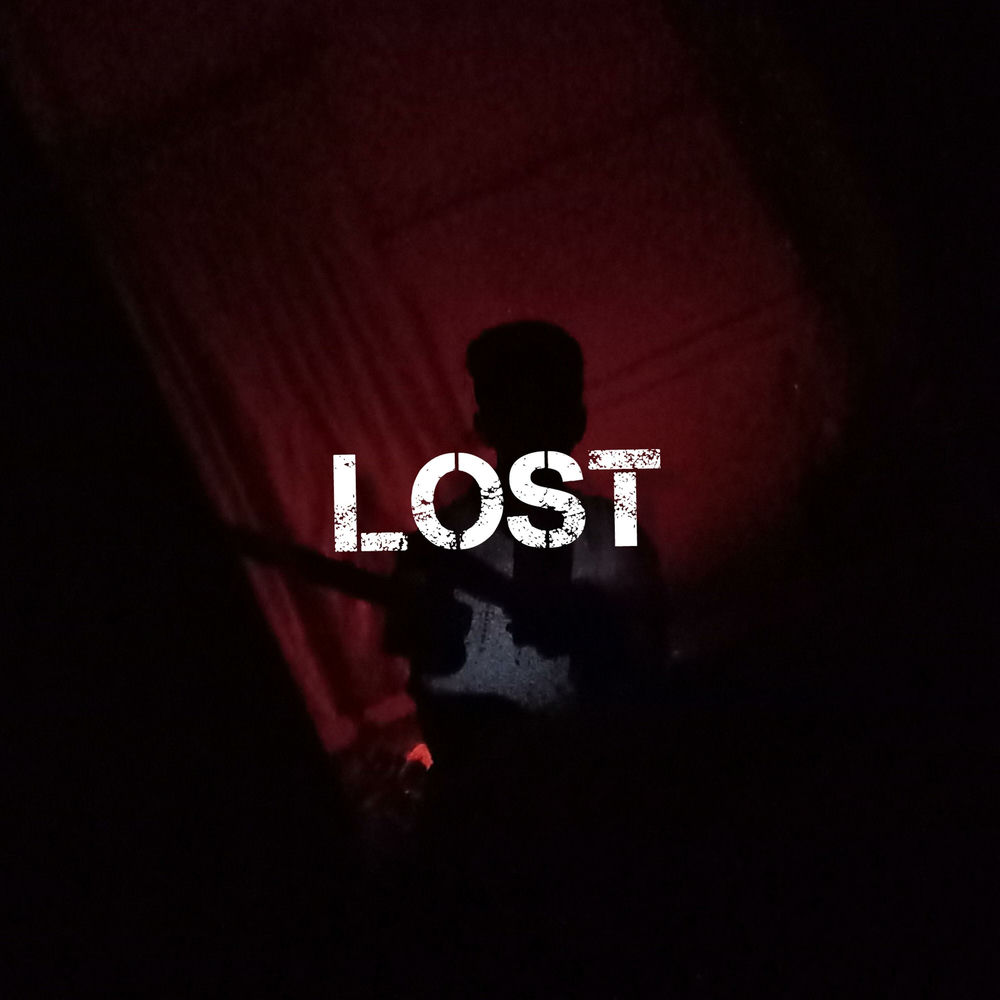Album artwork for Lost by nightlight