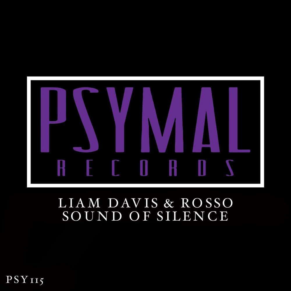 Picture of Sound Of Silence
