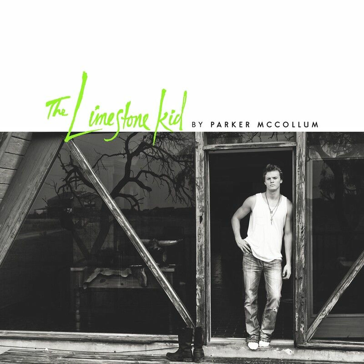 Album cover of The Limestone Kid