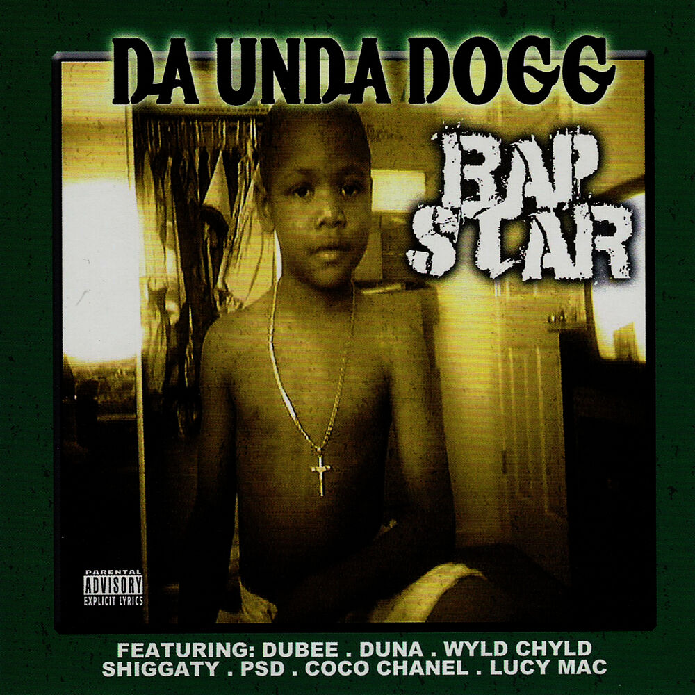 Picture of Rap Star